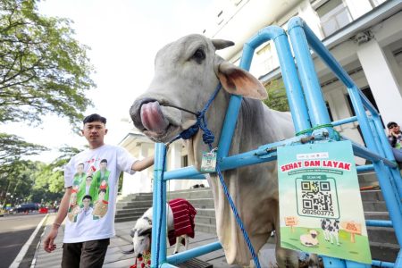 Tips Memilih Hewan Kurban yang Sehat (Dok/Humas Bdg)