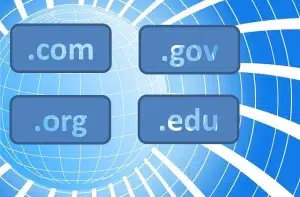 Domain Mana yang Terbaik untuk SEO (Ilustrasi/Pixabay)