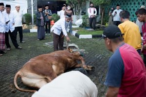 Idul Adha 2025 Tanggal Berapa? Ini Jadwal Resminya 1 Idul Adha 2025 Tanggal Berapa (Dok Humas Bdg)