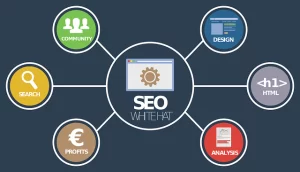 Bagaimana Cara Memaksimalkan SEO (Ilustrasi/Pixabay)